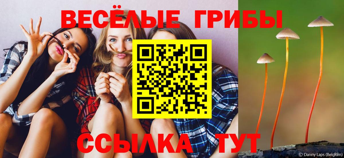 Партизанск  Псилоцибиновые грибы мицелий  Вход с VPN 