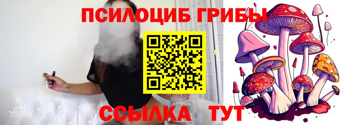 Галлюциногенные грибы GOLDEN TEACHER Партизанск